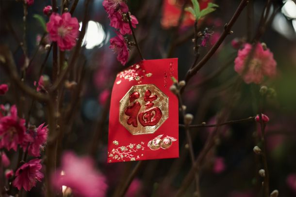 Gong Xi Fa Cai! – Happy Chinese New Year!